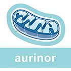 Витамины Orthomol Aurinor